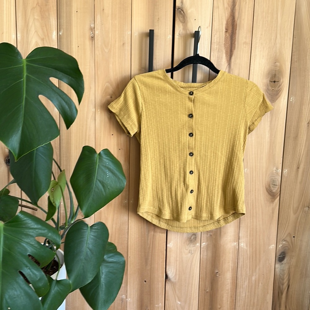 Madewell Pointelle Button-Front Slim Tee in Earthen Gold
